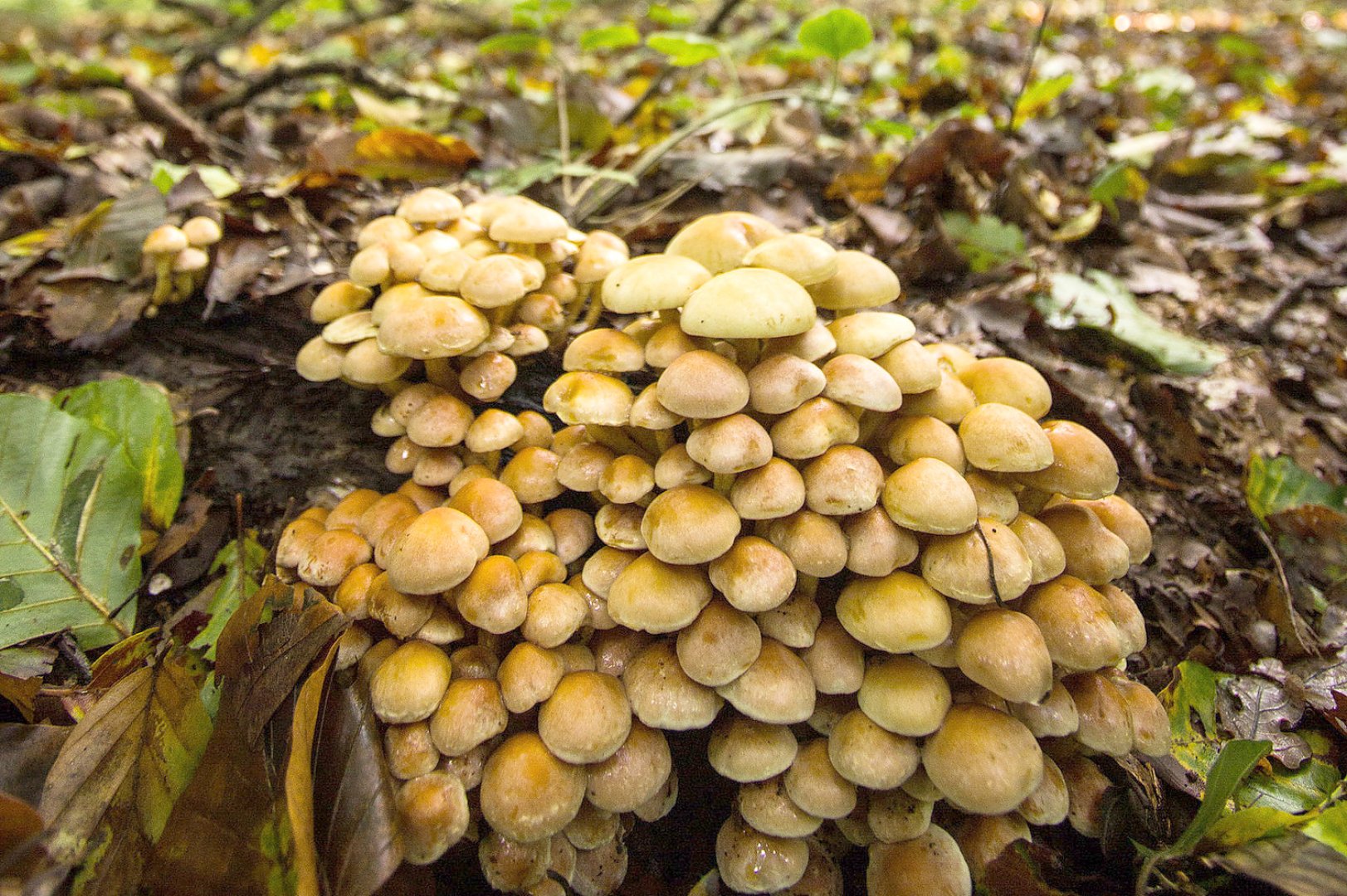 Die schönsten Tierfotos aus Ostfriesland - Bild 65