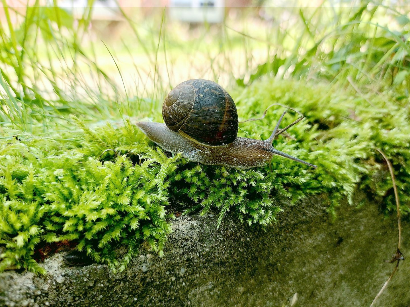 Die schönsten Tierfotos aus Ostfriesland - Bild 82