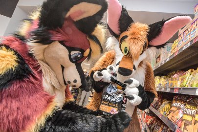 Mit Furries in Emden unterwegs - Bild 2