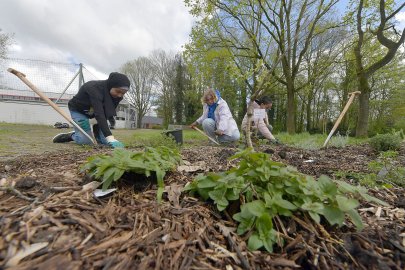 Garten an der Gutenbergschule in Leer - Bild 2
