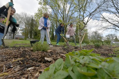 Garten an der Gutenbergschule in Leer - Bild 3