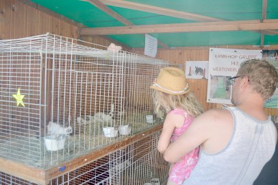 Impressionen vom Bottermarkt am Sonntag - Bild 18