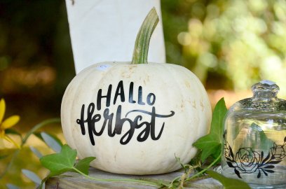 Appeldag in Neukamperfehn - Bild 2