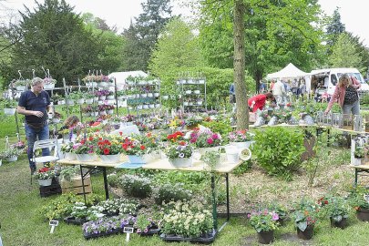 Frühlingsmarkt bei der Evenburg - Bild 2