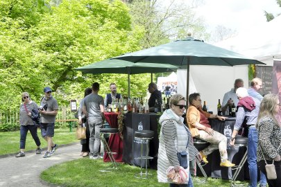 Frühlingsmarkt bei der Evenburg - Bild 4