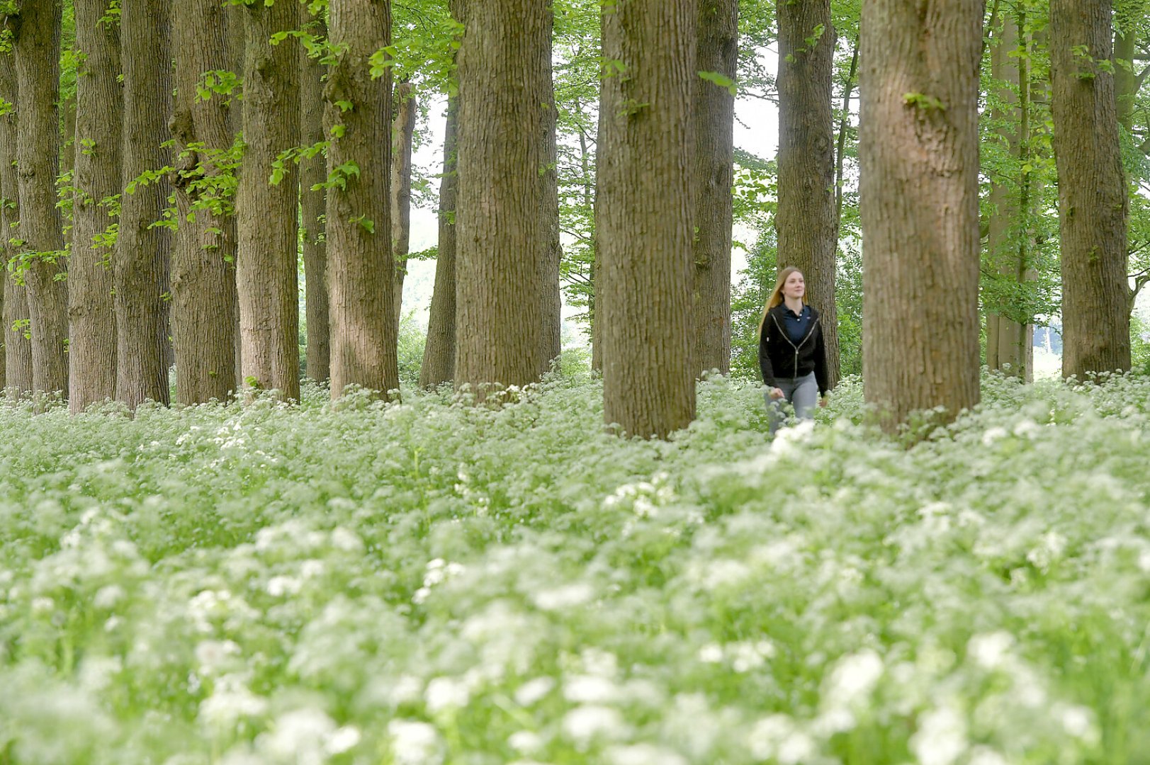So schön ist der Frühling in Ostfriesland - Bild 1