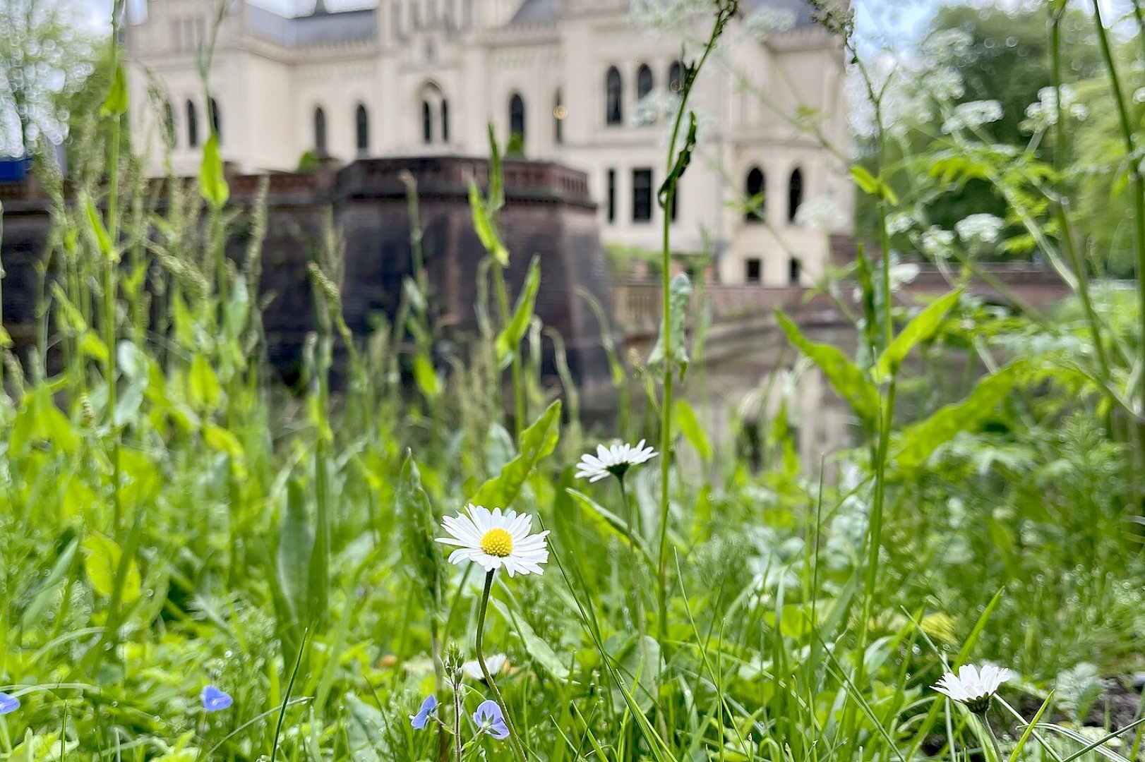 So schön ist der Frühling in Ostfriesland - Bild 2
