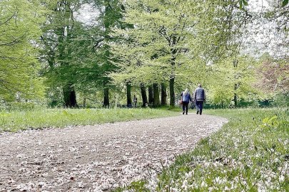 So schön ist der Frühling in Ostfriesland - Bild 4