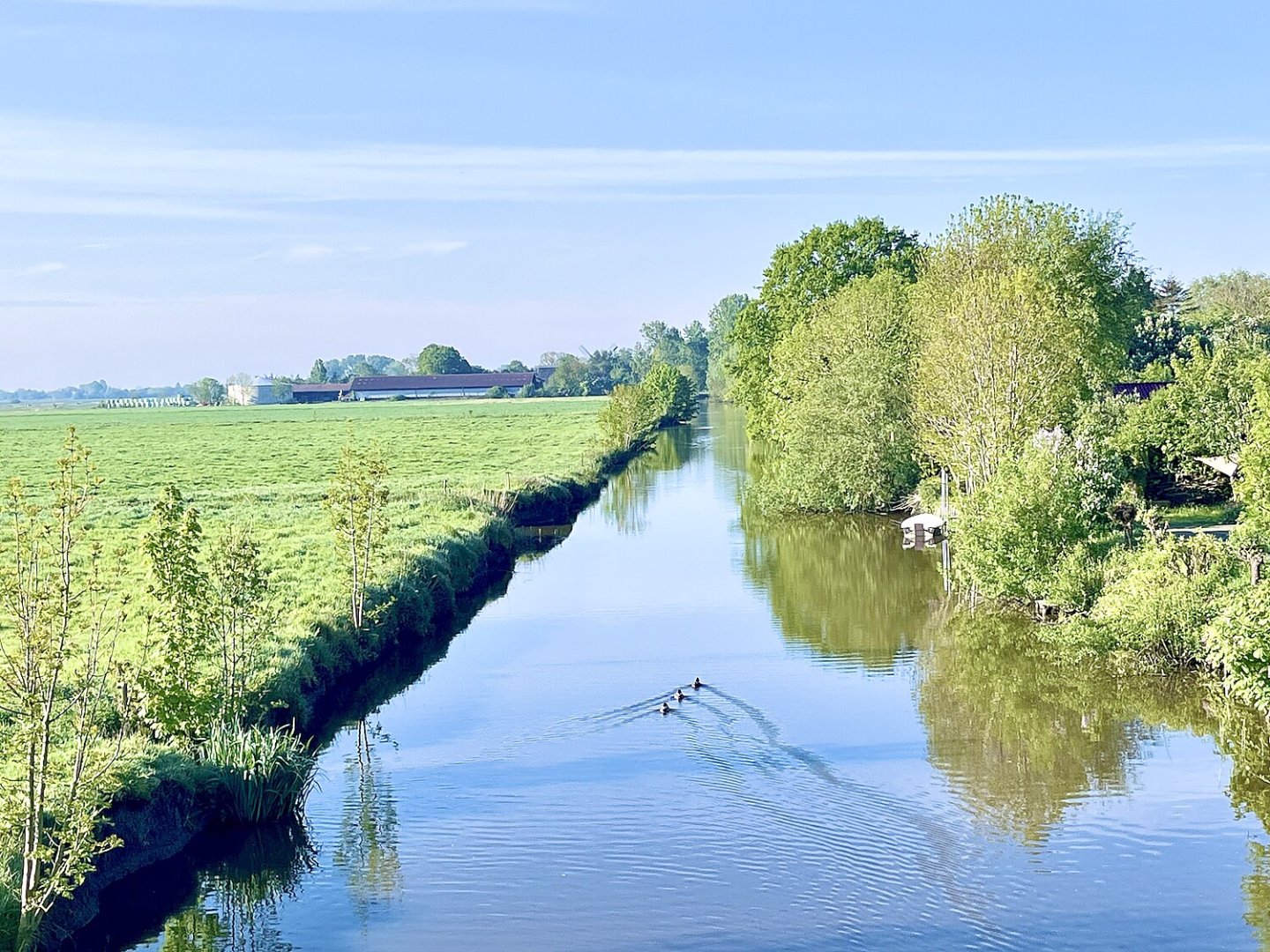 So schön ist der Frühling in Ostfriesland - Bild 7