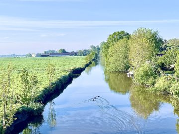 So schön ist der Frühling in Ostfriesland - Bild 7