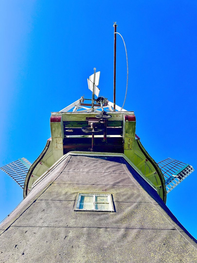 So schön ist der Frühling in Ostfriesland - Bild 8