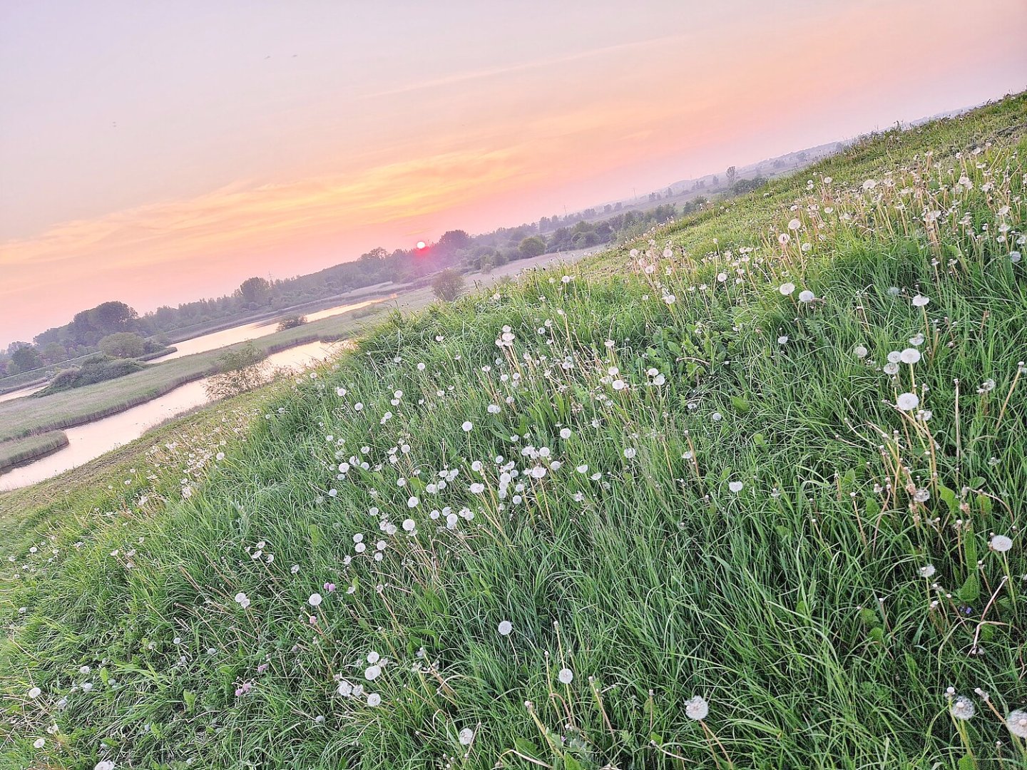 So schön ist der Frühling in Ostfriesland - Bild 13