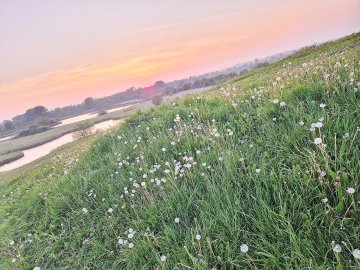 So schön ist der Frühling in Ostfriesland - Bild 13