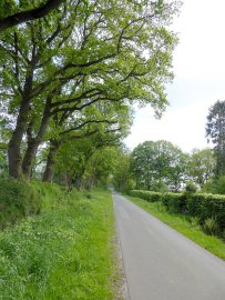 So schön ist der Frühling in Ostfriesland - Bild 15