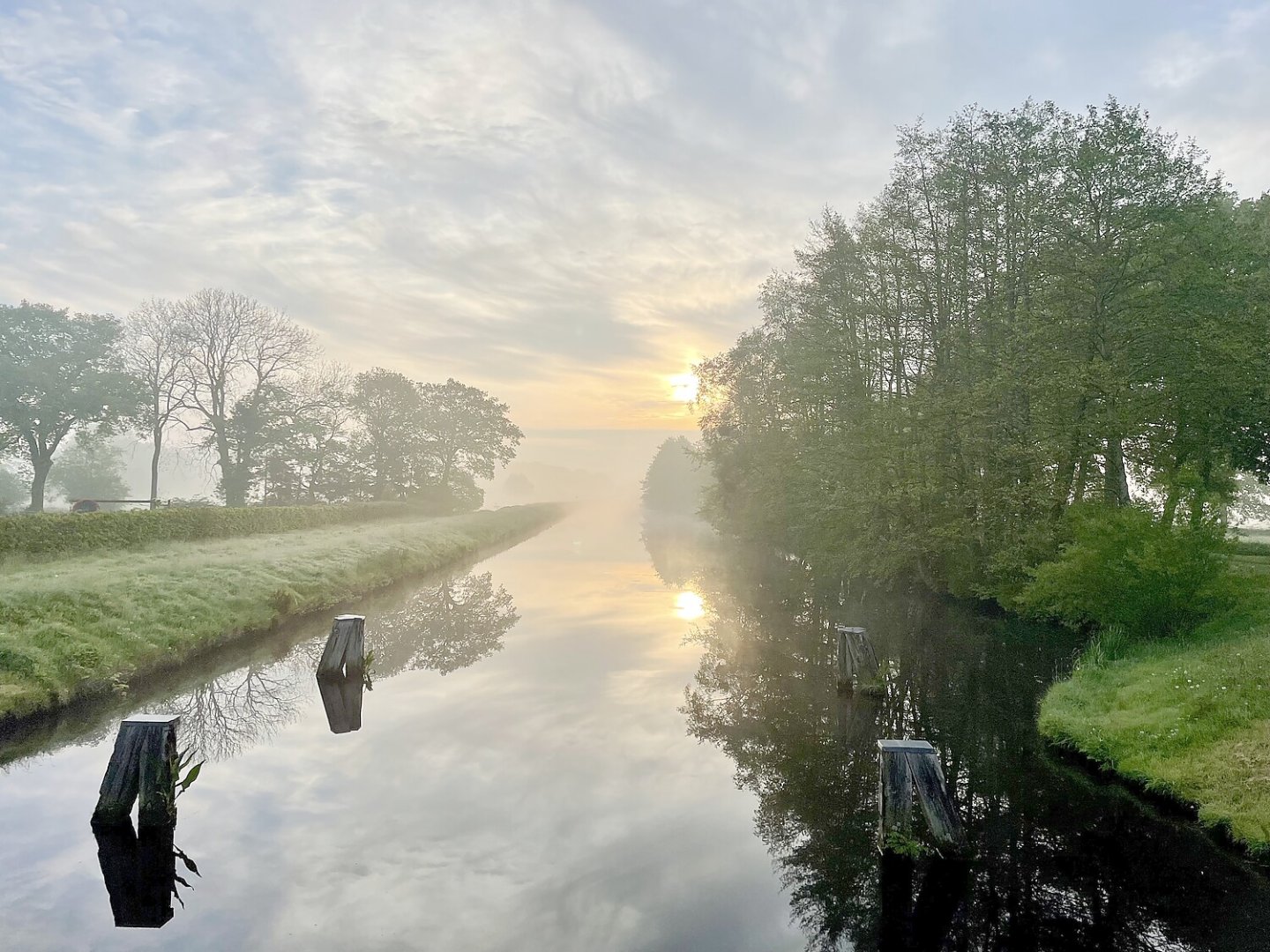 So schön ist der Frühling in Ostfriesland - Bild 16