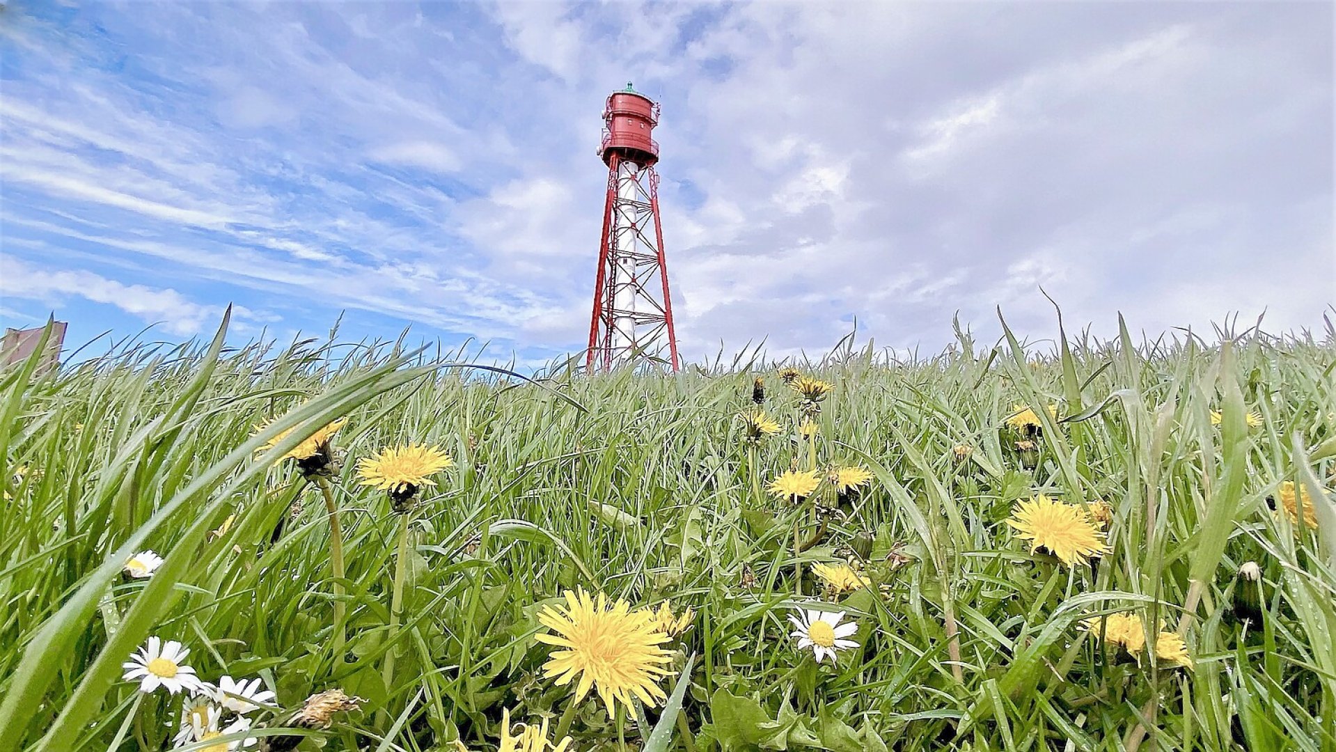 So schön ist der Frühling in Ostfriesland - Bild 19
