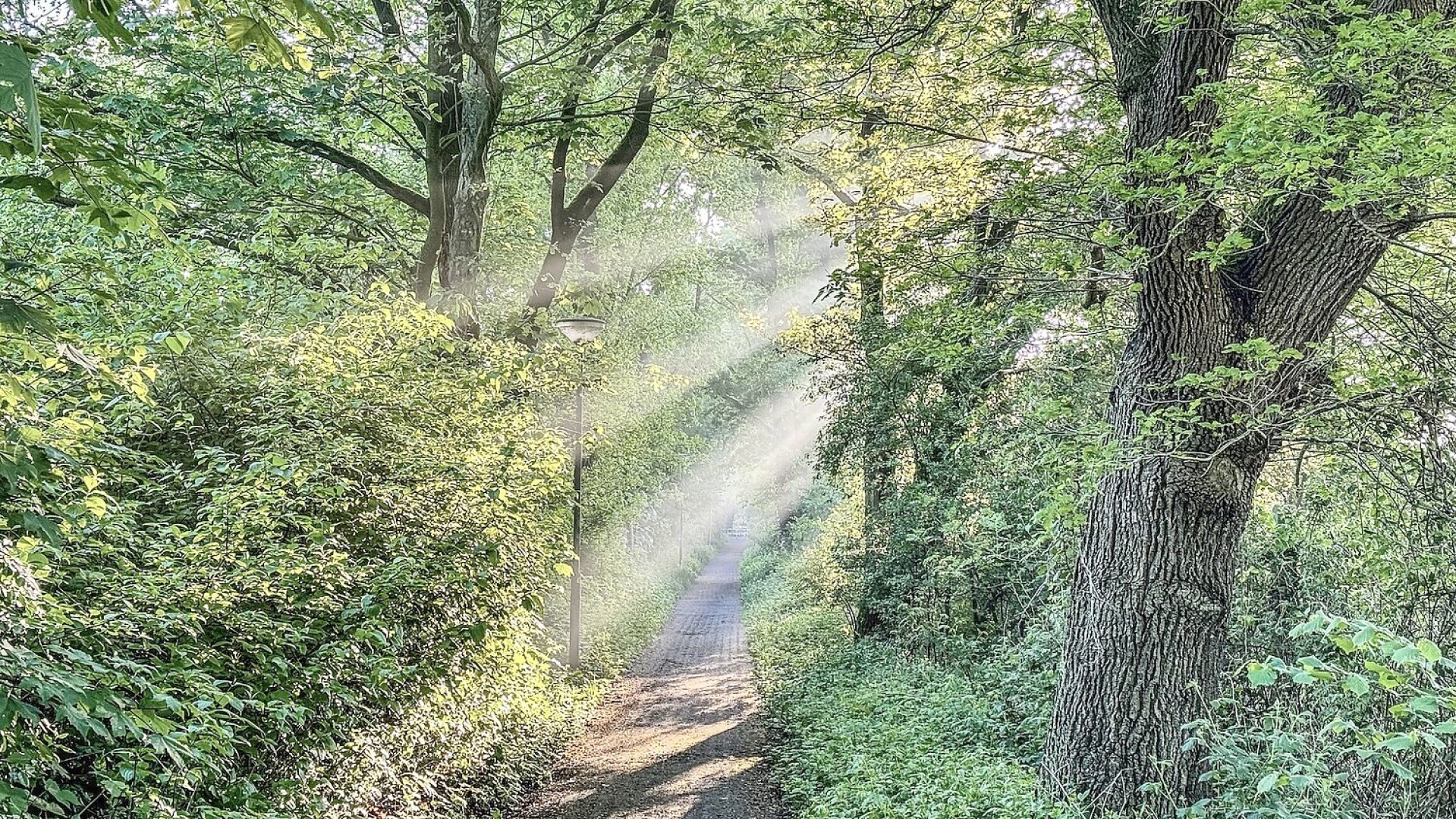 So schön ist der Frühling in Ostfriesland - Bild 20