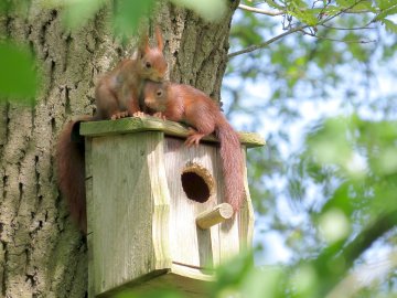 So schön ist der Frühling in Ostfriesland - Bild 21