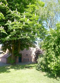So schön ist der Frühling in Ostfriesland - Bild 22