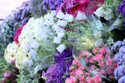 Blumen auf dem Emder Wochenmarkt - Bild 2