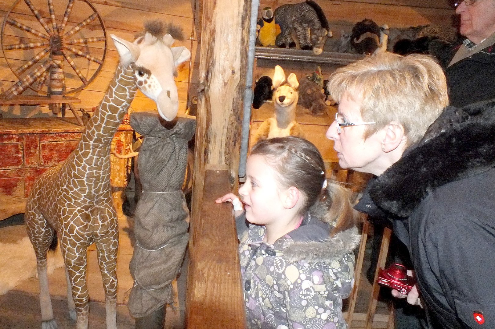 Emder zieht es auf den Arche-Noah-Nachbau - Bild 1