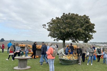 Eindrücke vom Kürbismarkt in Emden - Bild 14