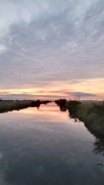 So schön ist der Herbst in Ostfriesland - Bild 104