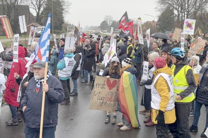Proteste gegen AfD-Treffen - Bild 13