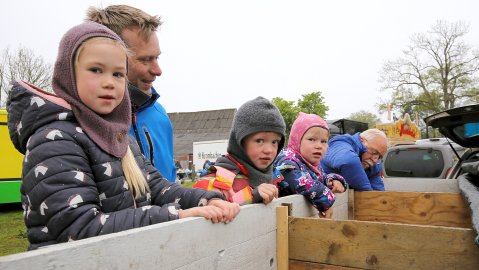 Bildergalerie vom Bagbander Markt - Bild 4