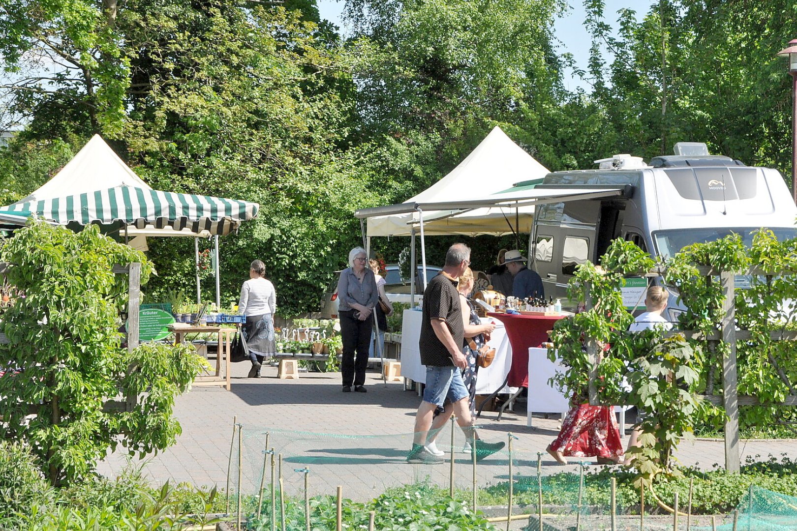 Staudenmarkt in Pagels’ Garten - Bild 1