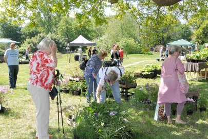 Staudenmarkt in Pagels’ Garten - Bild 3