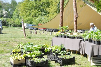 Staudenmarkt in Pagels’ Garten - Bild 4