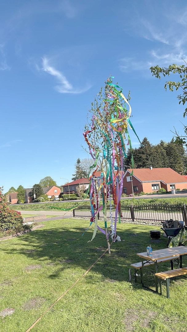 Maibäume – das sind die schönsten Bilder aus Ostfriesland - Bild 42