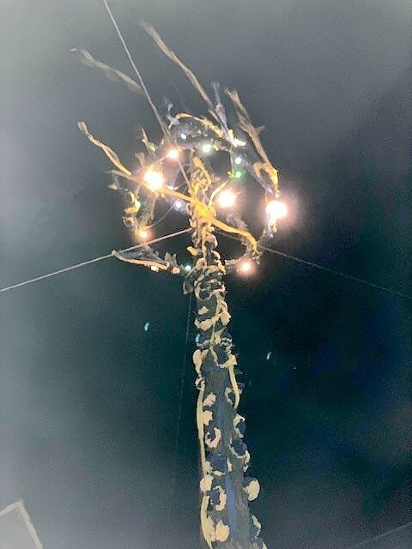 Maibäume – das sind die schönsten Bilder aus Ostfriesland - Bild 45