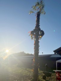Maibäume – das sind die schönsten Bilder aus Ostfriesland - Bild 49