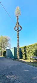 Maibäume – das sind die schönsten Bilder aus Ostfriesland - Bild 55