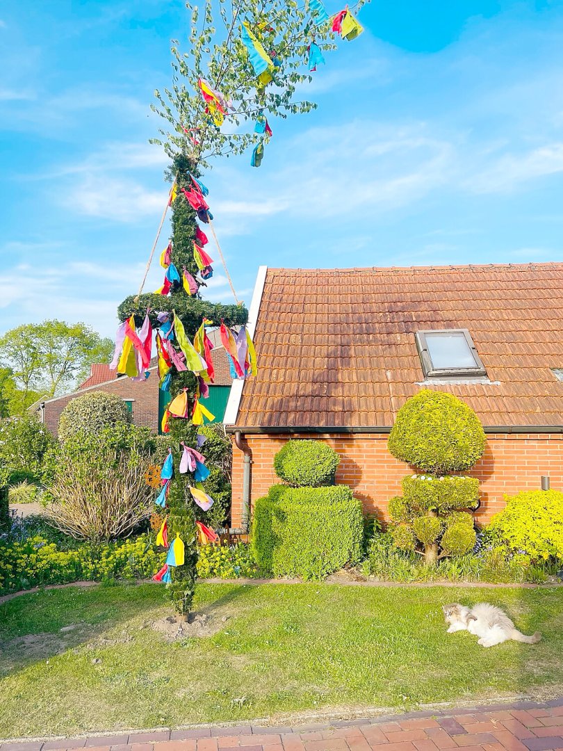 Maibäume – das sind die schönsten Bilder aus Ostfriesland - Bild 57