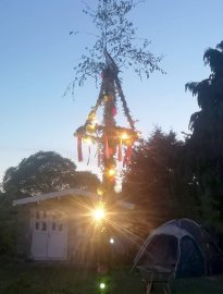 Maibäume – das sind die schönsten Bilder aus Ostfriesland - Bild 58