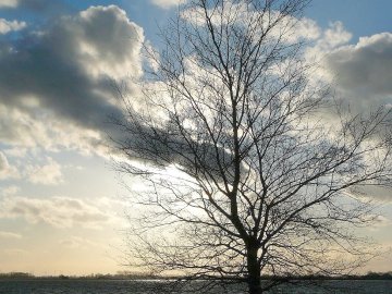 Leserfotos: Wolken in Ostfriesland - Teil 1 - Bild 4