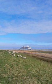 Leserfotos: Wolken in Ostfriesland - Teil 1 - Bild 8