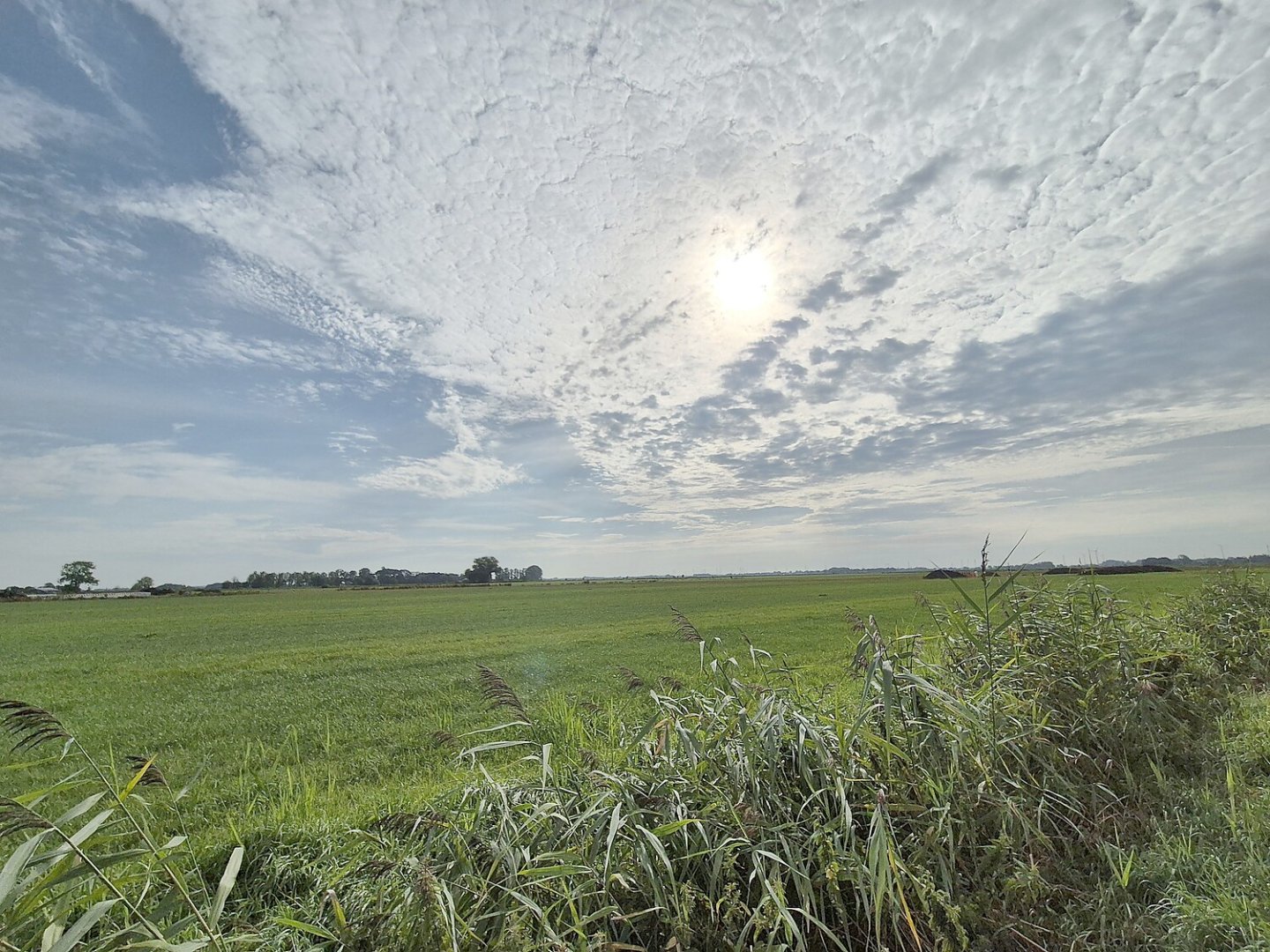 Leserfotos: Wolken in Ostfriesland - Teil 1 - Bild 15
