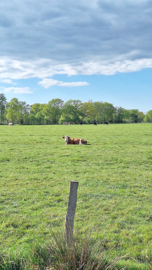 Leserfotos: Wolken in Ostfriesland - Teil 1 - Bild 27