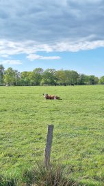 Leserfotos: Wolken in Ostfriesland - Teil 1 - Bild 27