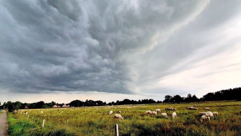 Leserfotos: Wolken in Ostfriesland - Teil 1 - Bild 28
