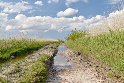Leserfotos: Wolken in Ostfriesland - Teil 1 - Bild 31