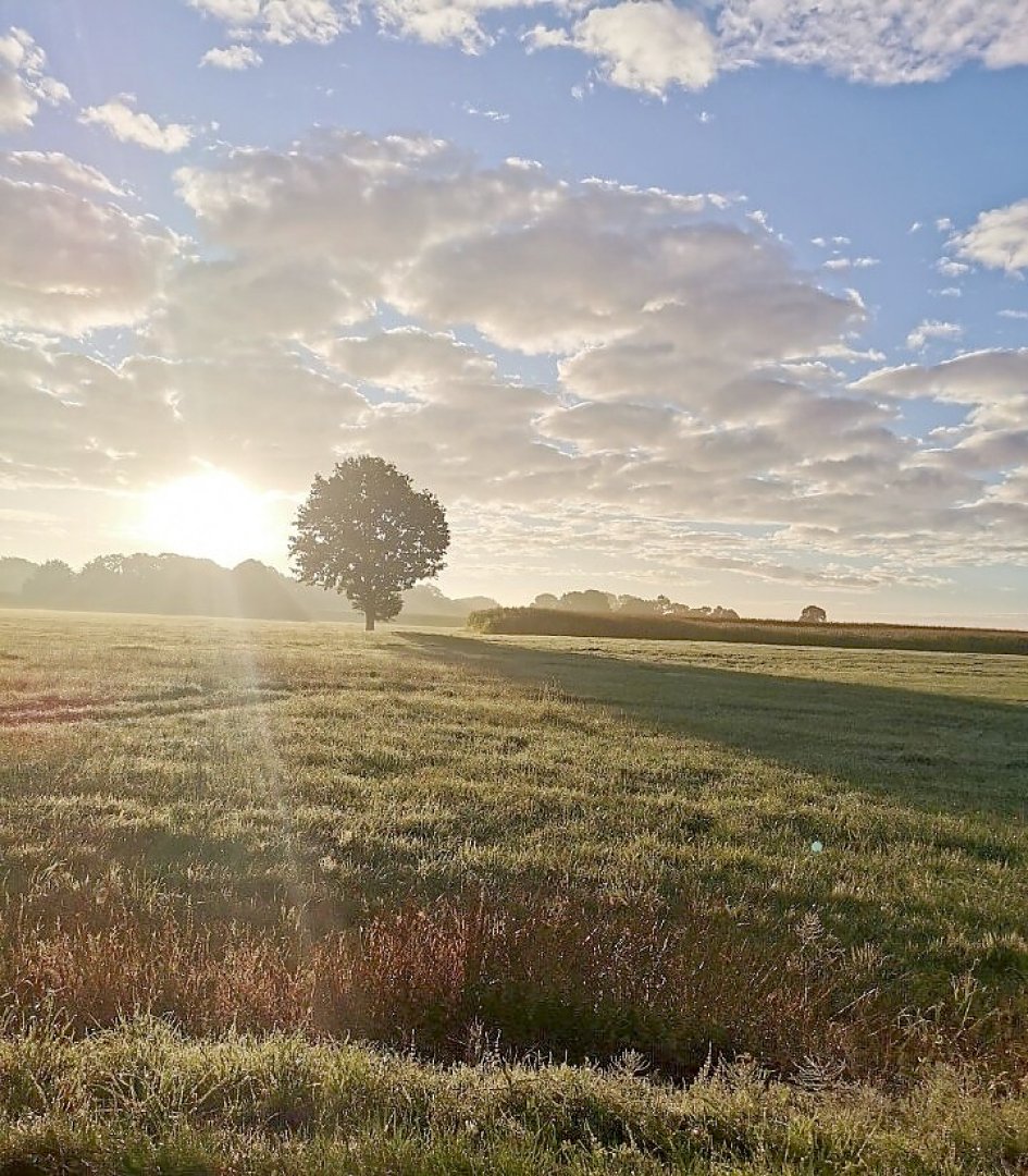 Leserfotos: Wolken in Ostfriesland - Teil 1 - Bild 35