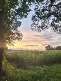 Leserfotos: Wolken in Ostfriesland - Teil 1 - Bild 41