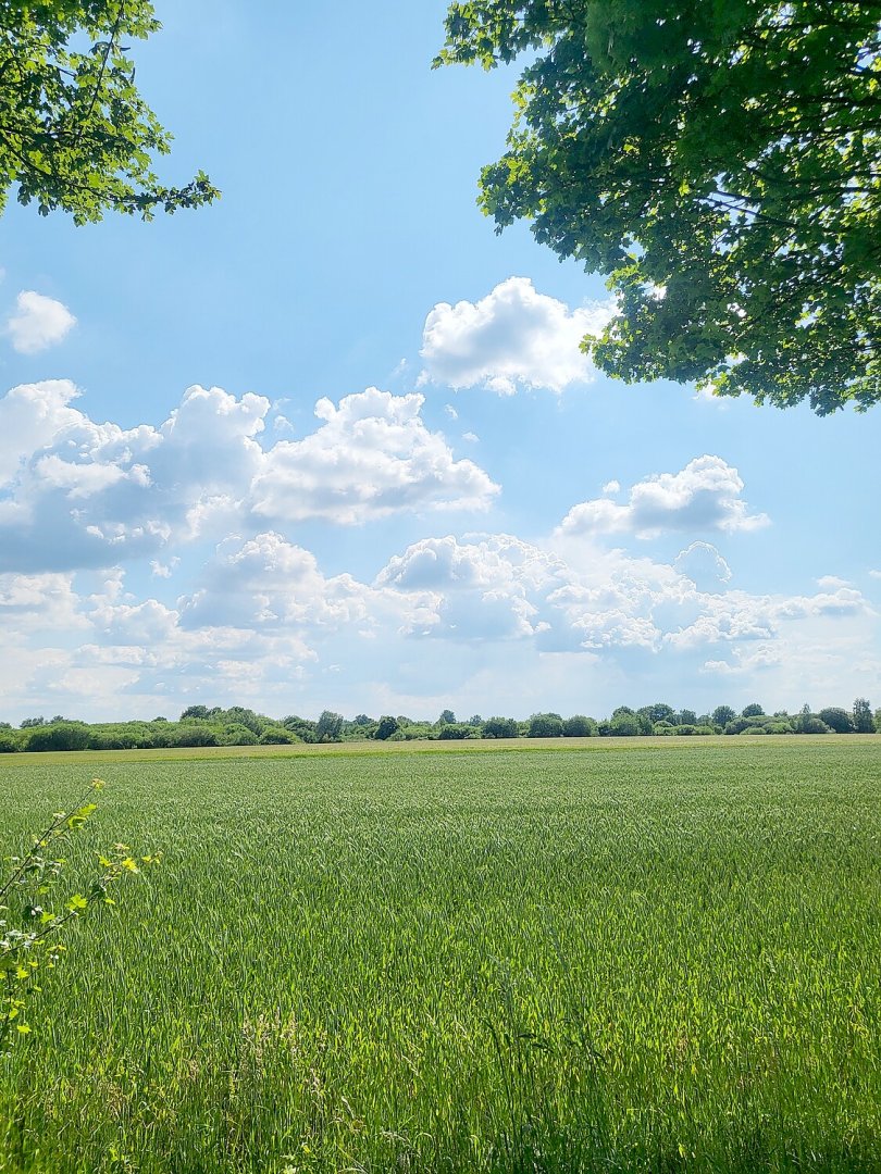 Leserfotos: Wolken in Ostfriesland - Teil 1 - Bild 42