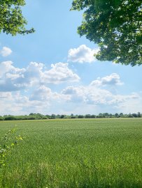 Leserfotos: Wolken in Ostfriesland - Teil 1 - Bild 42