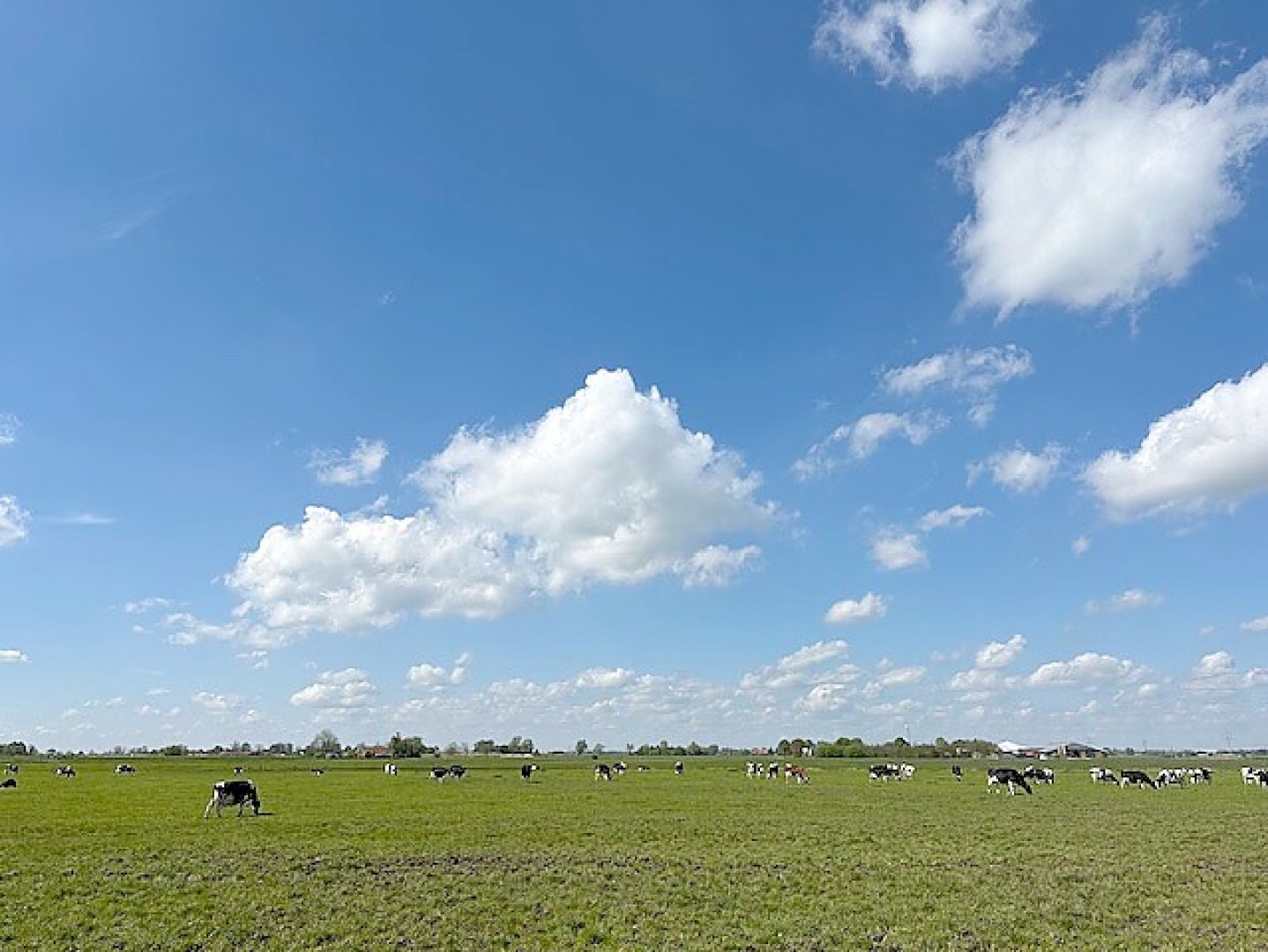 Leserfotos: Wolken in Ostfriesland - Teil 2 - Bild 1